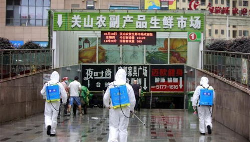 冷凍食品產業在福建的崛起與兩岸合作新機遇
